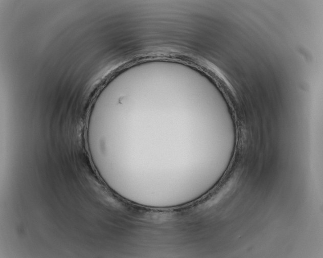 X0000115600778200911100951