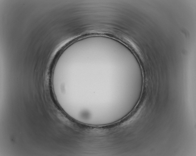 X0000115600779200911100951