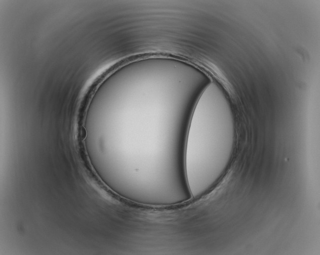 X0000115600780200911100951