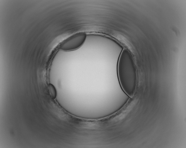 X0000115600781200911100951
