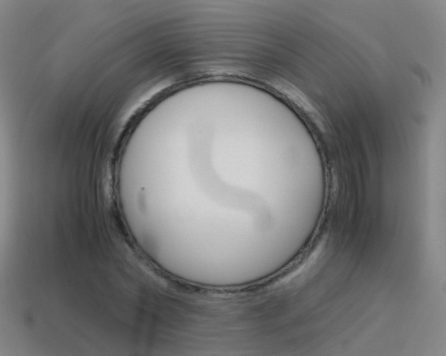 X0000115600782200911100951