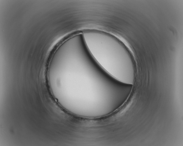 X0000115600783200911100951