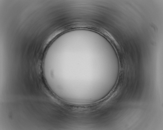 X0000115600786200911100951