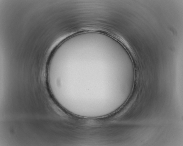 X0000115600787200911100951