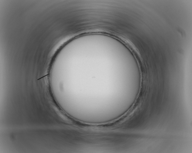 X0000115600789200911100951