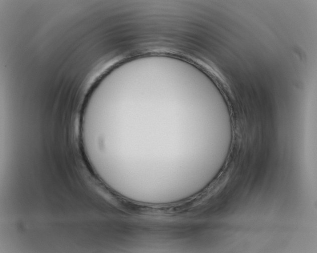 X0000115600790200911100951