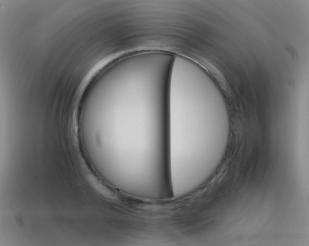 X0000115600792200911100951