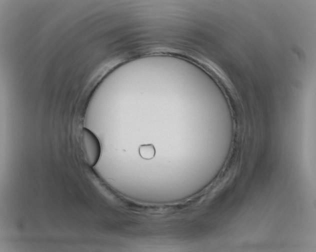 X0000115600793200911100951