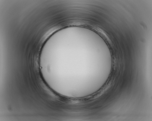 X0000115600794200911100951