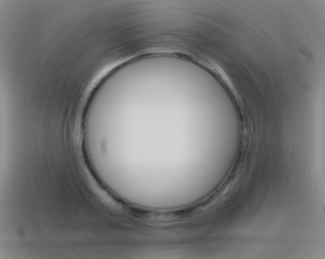 X0000115600795200911100951