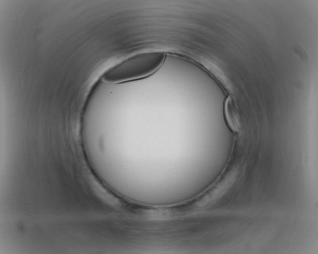 X0000115600797200911100951