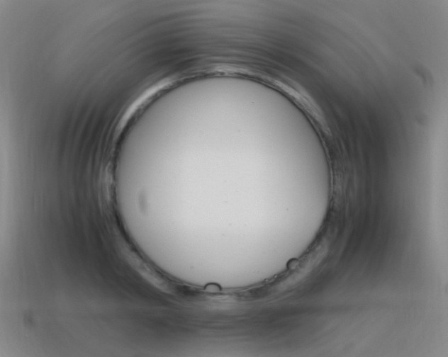 X0000115600798200911100951