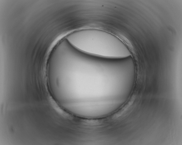 X0000115600800200911100951