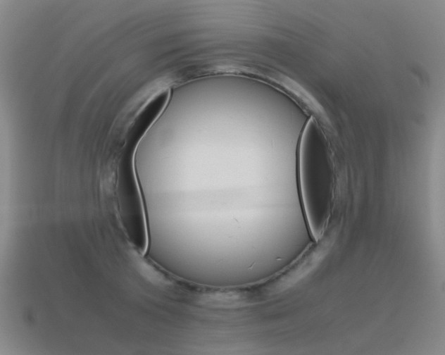 X0000115600801200911100951
