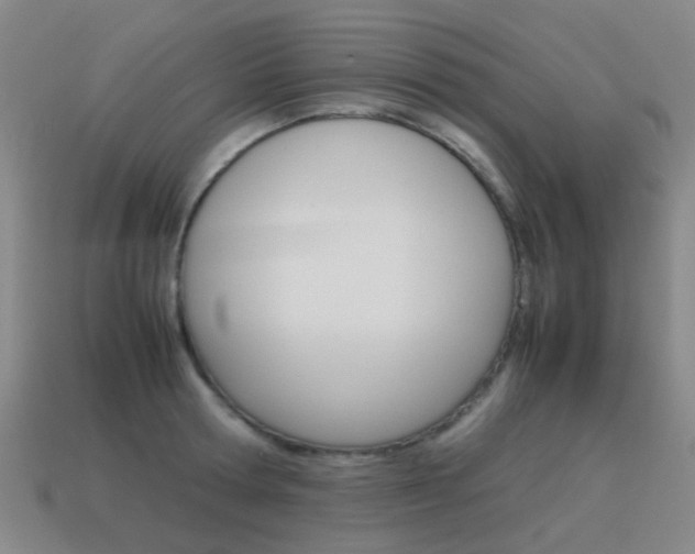 X0000115600802200911100951