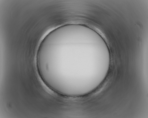 X0000115600803200911100951