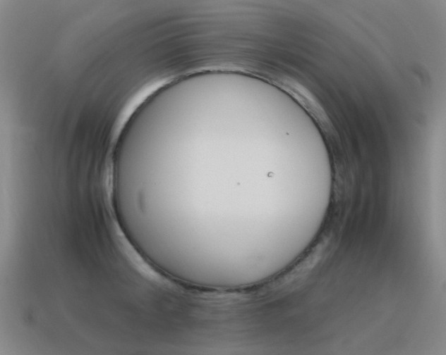X0000115600804200911100951