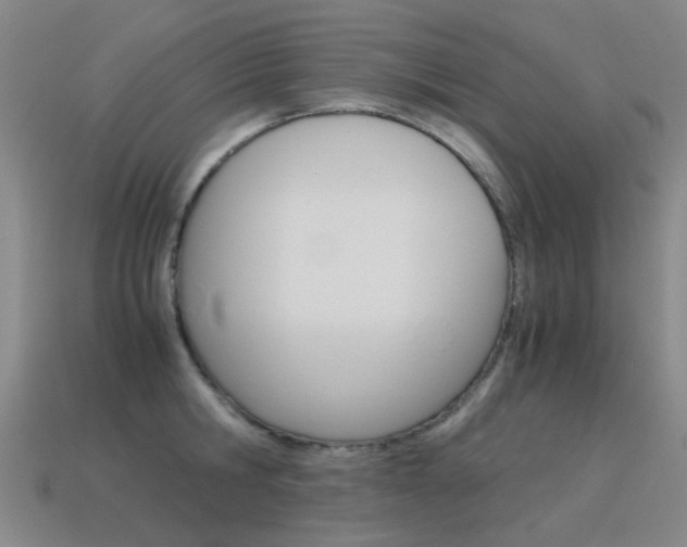 X0000115600806200911100951