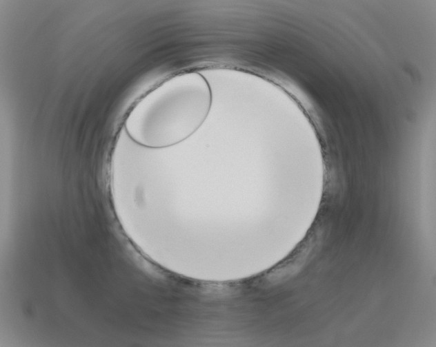X0000115600807200911100951
