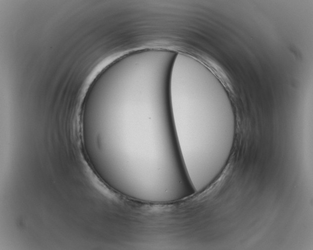 X0000115600808200911100951
