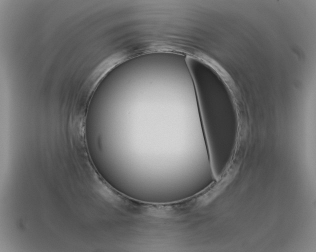 X0000115600809200911100951