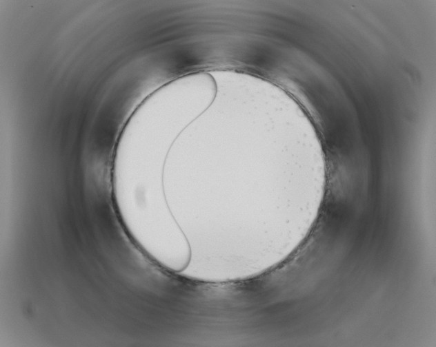 X0000115600810200911100951