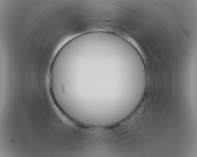 X0000115600811200911100951