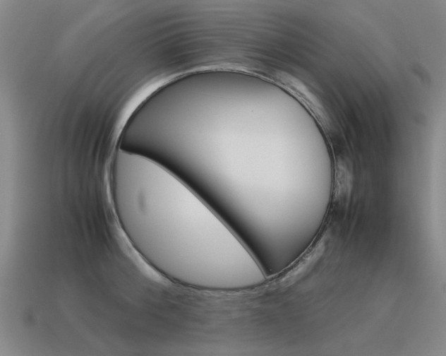 X0000115600812200911100951