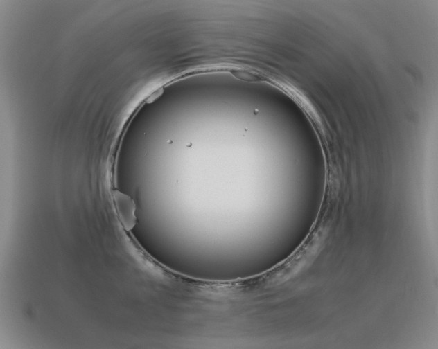 X0000115600813200911100951
