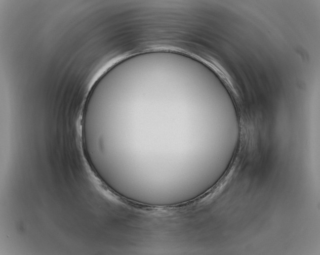 X0000115600814200911100951