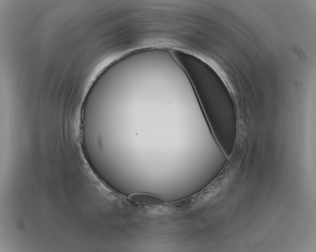 X0000115600815200911100951