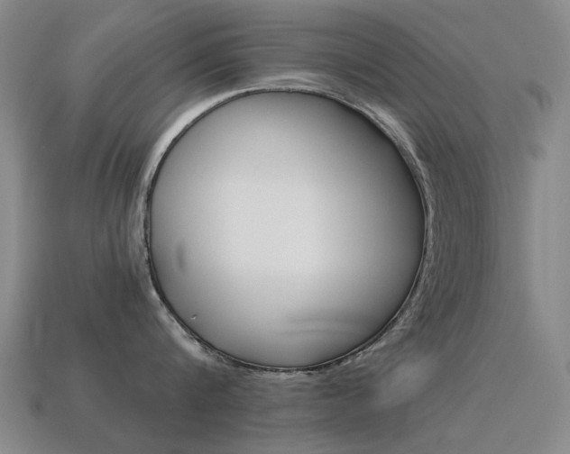 X0000115600816200911100951