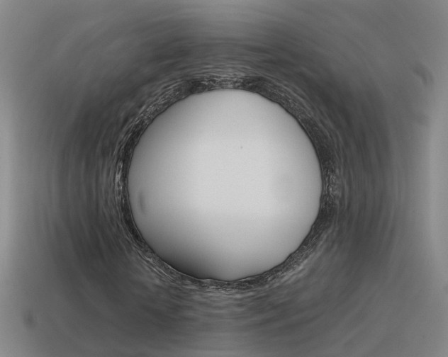X0000115600818200911100950