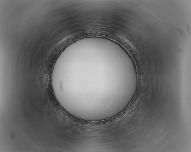 X0000115600821200911100950