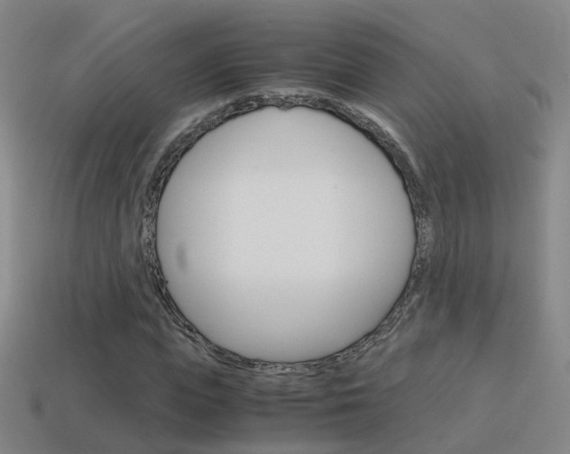 X0000115600823200911100950
