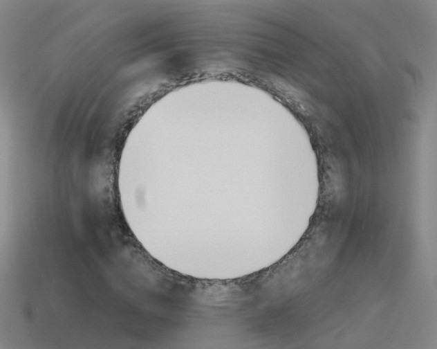 X0000115600824200911100950