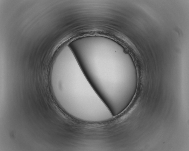 X0000115600826200911100950