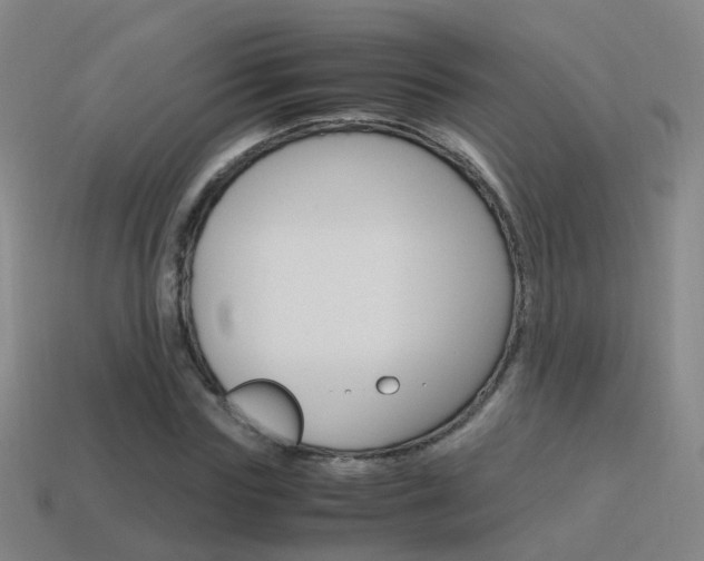 X0000115600827200911100950