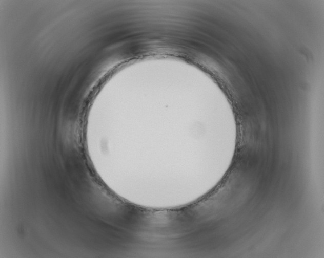 X0000115600828200911100950