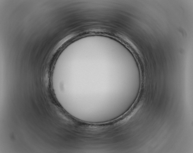 X0000115600829200911100950