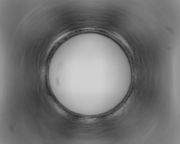 X0000115600831200911100950