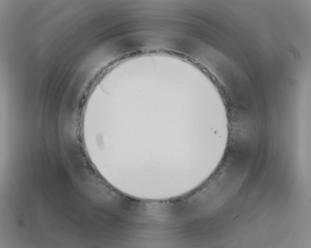 X0000115600832200911100950