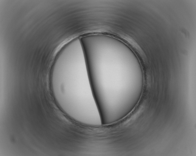 X0000115600834200911100950
