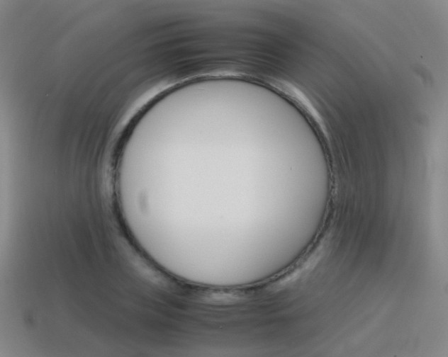 X0000115600835200911100950