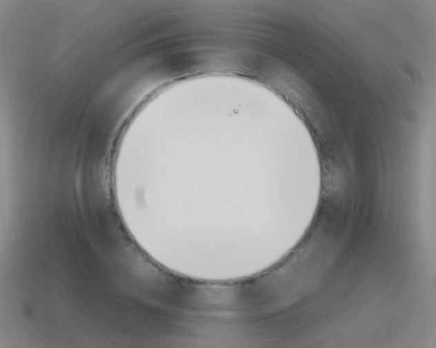 X0000115600836200911100950