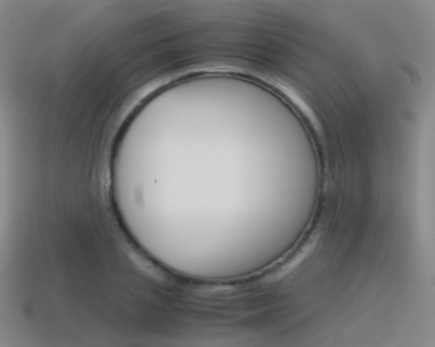 X0000115600837200911100950