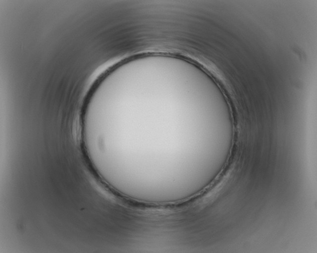 X0000115600838200911100950