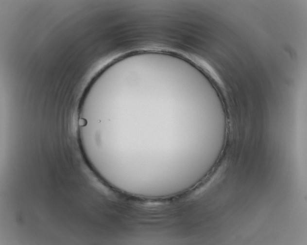 X0000115600839200911100950
