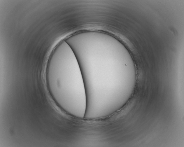 X0000115600840200911100950