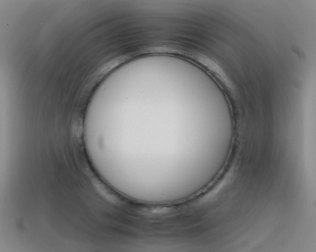 X0000115600841200911100950